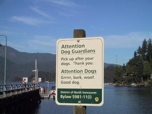 dogs